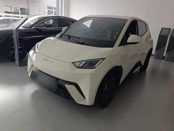 BYD Seagull 2024