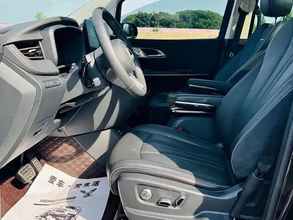 Hongqi HQ9 PHEV 2024, фото 8