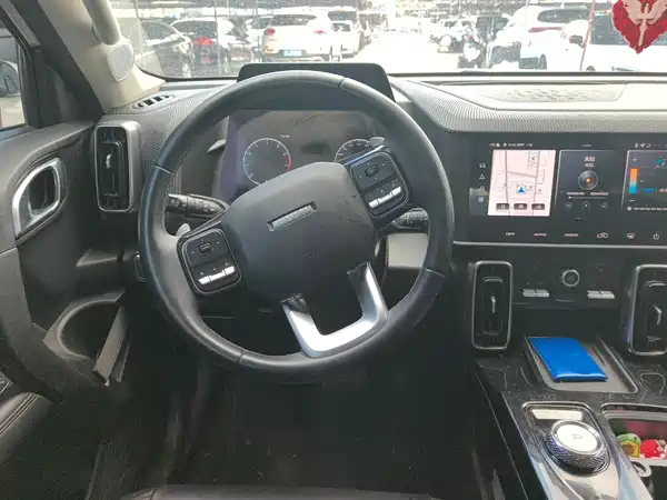 Haval Dargo 2021, фото 14