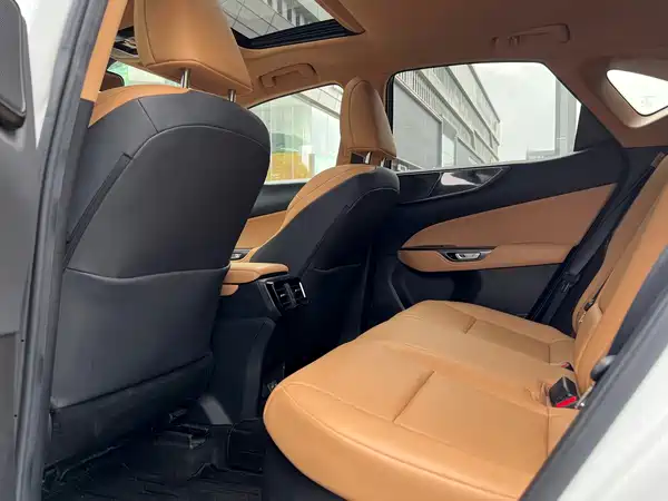 Lexus NX PHEV 2022, фото 6