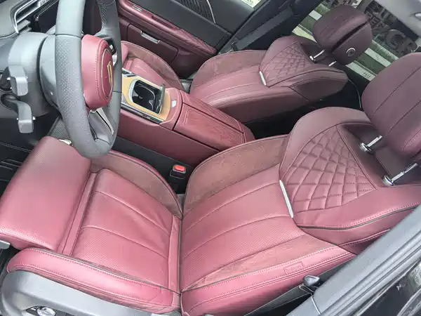 Hongqi E-HS9 2021, фото 26