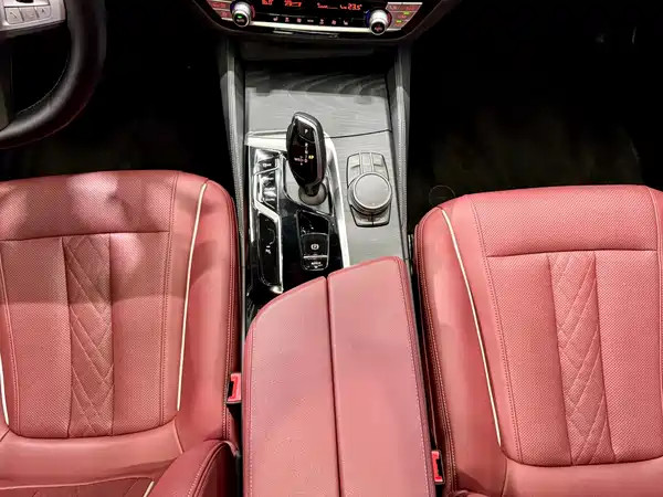 BMW 5 Series 2022, фото 20