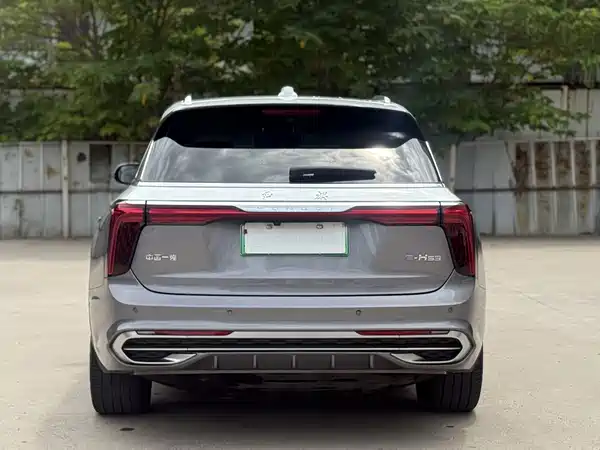 Hongqi E-HS9 2022, фото 8
