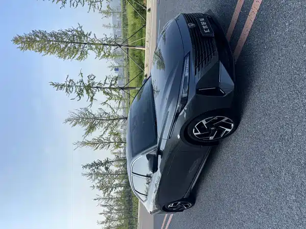 Changan Yida 2023, фото 14