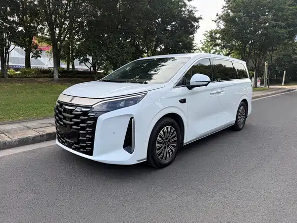 BYD Xia 2025