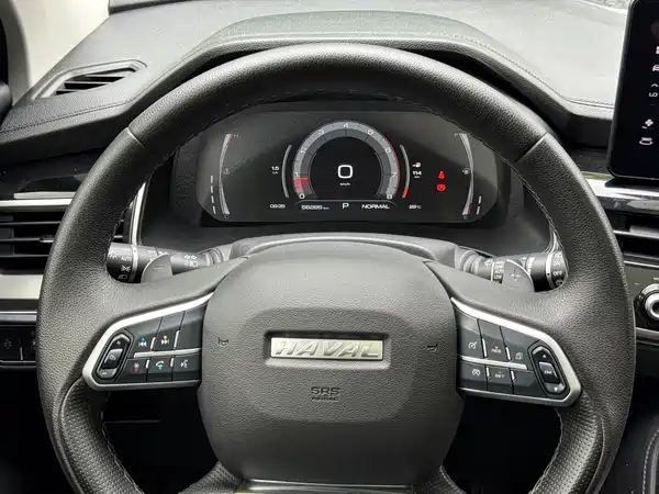 Haval H6 2021, фото 12