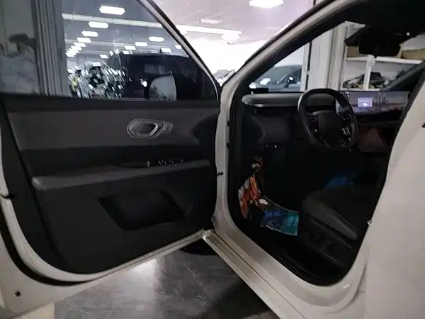 Hyundai ELEXIO 2025, фото 15