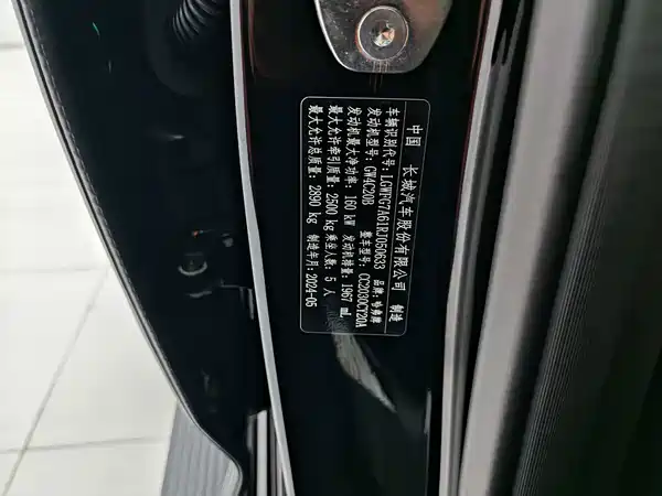 Haval H9 2024, фото 15