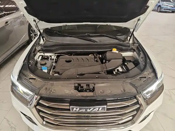 Haval H6 2021, фото 19