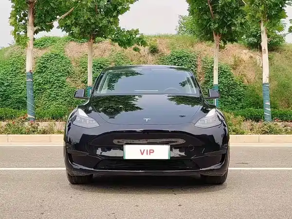 Tesla Model Y 2024, фото 2
