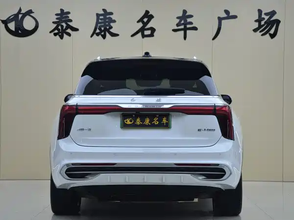 Hongqi E-HS9 2022, фото 3
