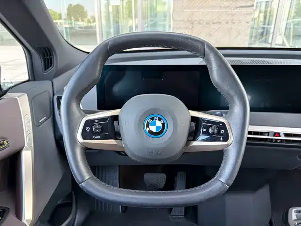 BMW iX 2022, фото 9