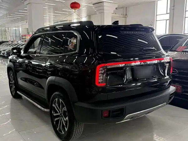 Haval Dargo 2024, фото 14