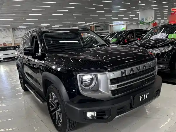 Haval Dargo 2024, фото 11