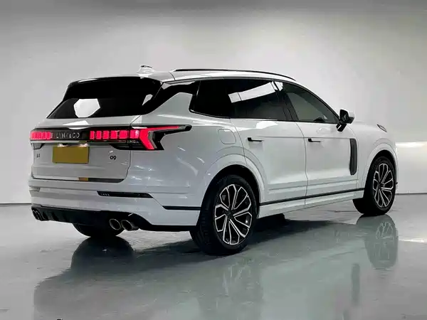 Lynk & Co 09 EM-P 2021, фото 8