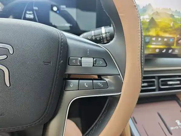 BYD Song L DM-i 2024, фото 25