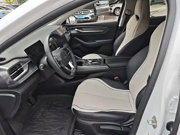 BYD Destroyer 05 2024, фото 14