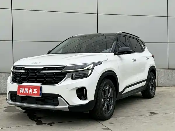 Kia Seltos 2023, фото 2