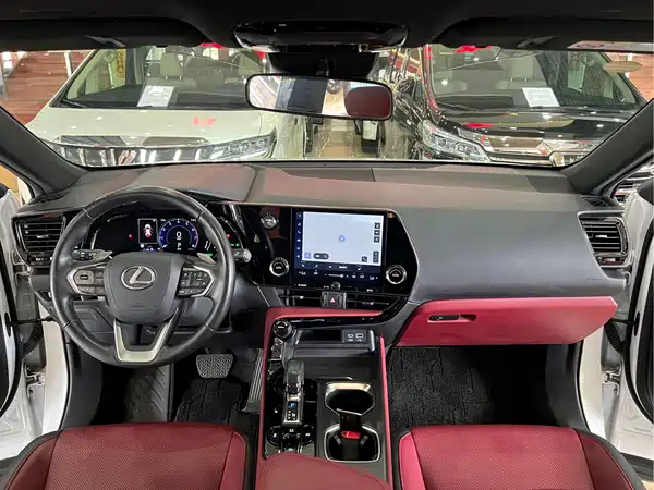Lexus NX 2023, фото 15