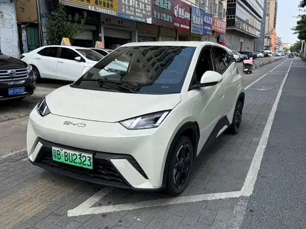 BYD Seagull 2024