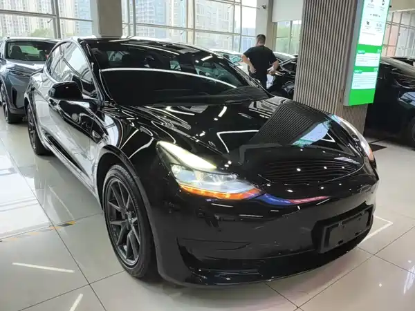 Tesla Model 3 2022, фото 3