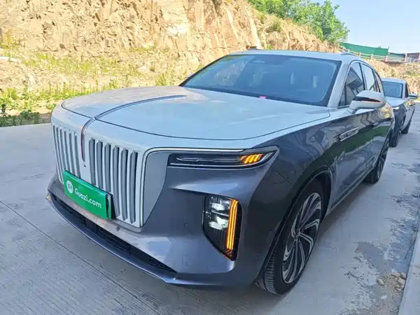 Hongqi E-HS9 2022, фото 2