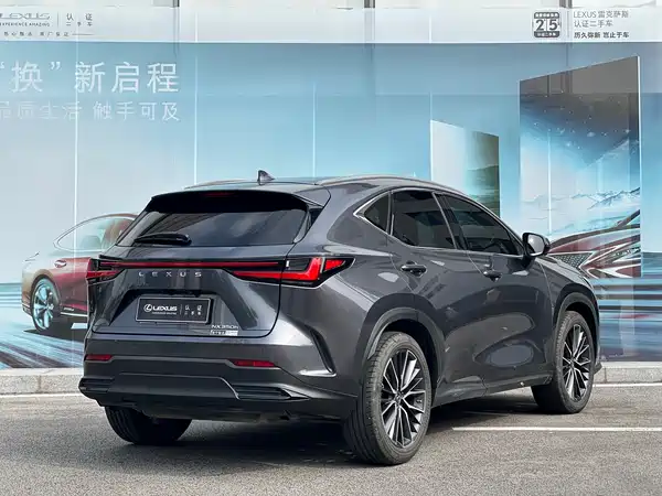 Lexus NX 2023, фото 7