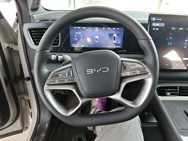 BYD Sealion 06 DM-i 2025, фото 11