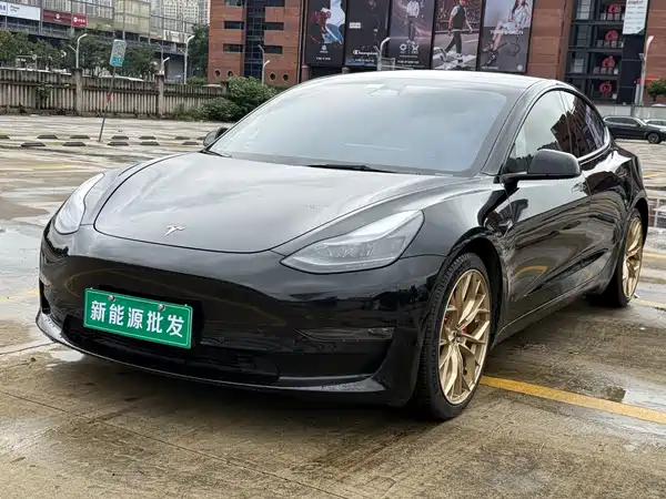 Tesla Model 3 2022