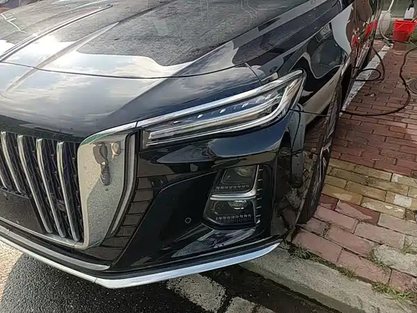 Hongqi H5 2025, фото 23
