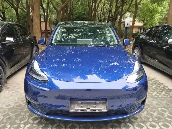 Tesla Model Y 2022, фото 2