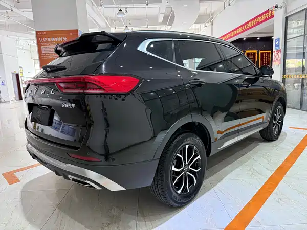 Haval H6 2021, фото 4