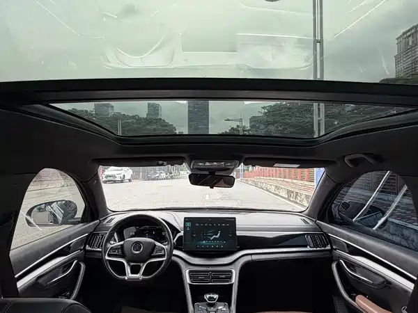 BYD Song PLUS 2020, фото 9