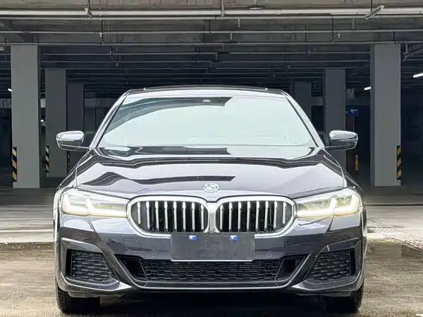 BMW 5 Series 2022, фото 2