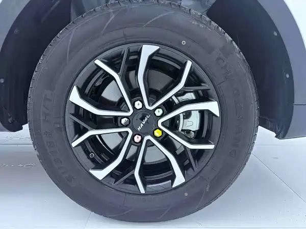 Haval H6 2021, фото 15
