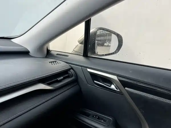 Lexus RX 2020, фото 9