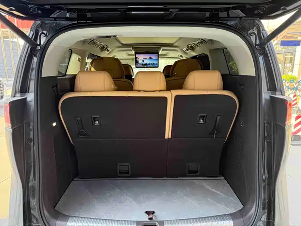 Denza D9 2024, фото 8
