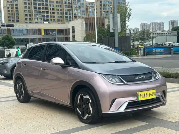 BYD Dolphin 2021, фото 4