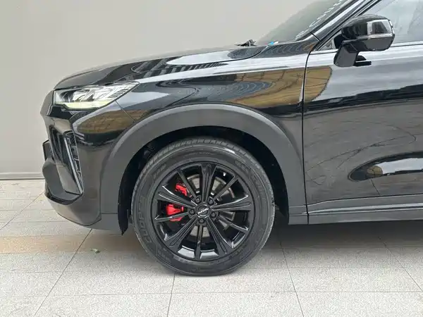 Haval H6S 2022, фото 5