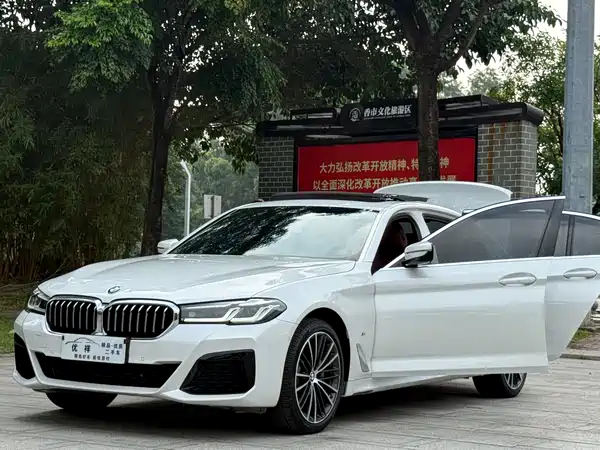 BMW 5 Series 2022, фото 20