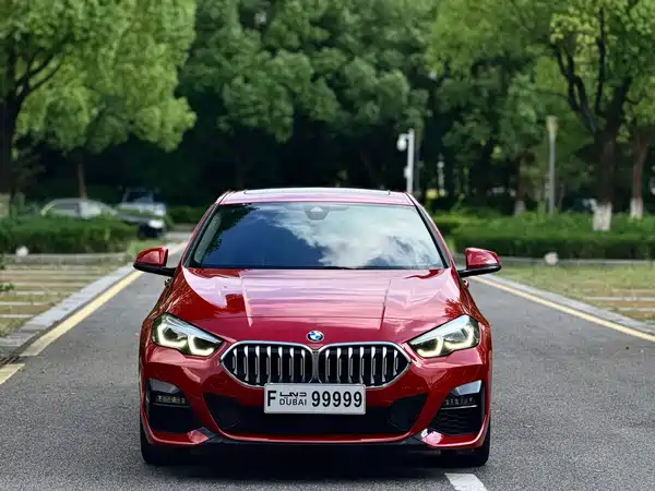 BMW 2 Series 2021, фото 2