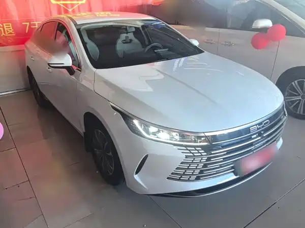 BYD Destroyer 05 2024, фото 3