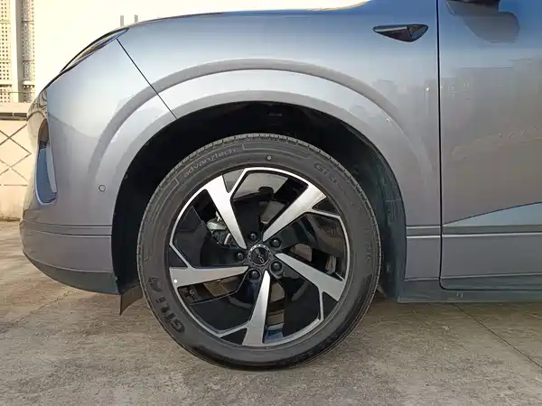 BYD Sealion 06 DM-i 2025, фото 4