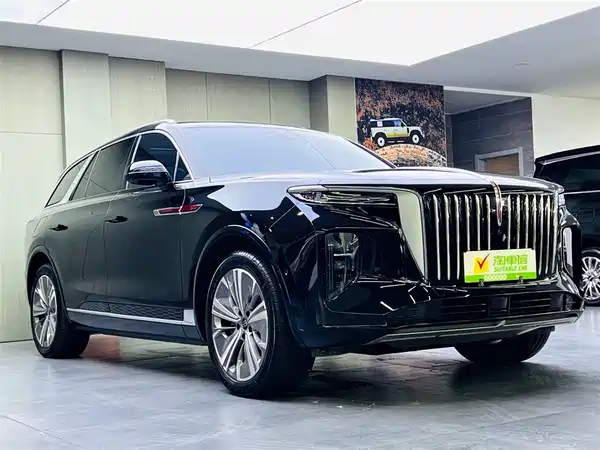 Hongqi E-HS9 2022, фото 3