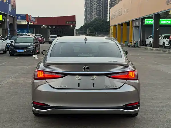 Lexus ES 2022, фото 13