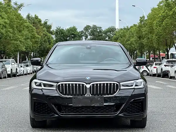 BMW 5 Series 2022, фото 2