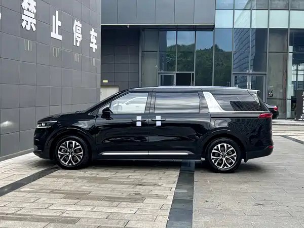 Kia Carnival 2021, фото 8