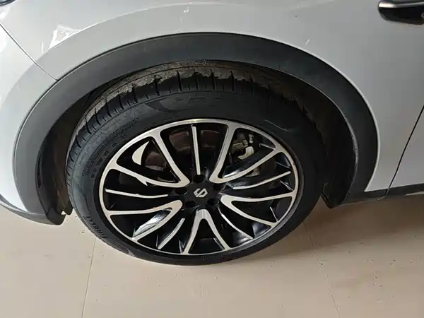 Leapmotor C11 2021, фото 22