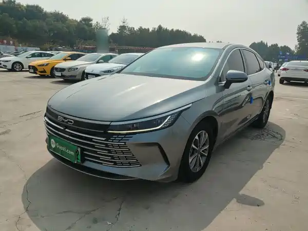 BYD Destroyer 05 2024
