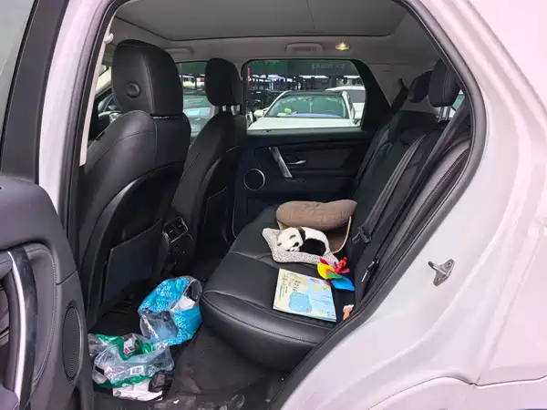 Land Rover Discovery Sport PHEV 2024, фото 8